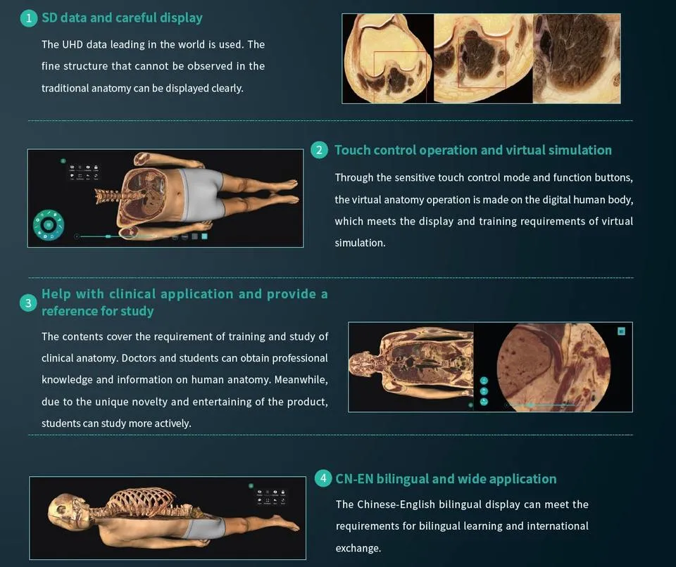 Good Price Anatomage Education Anatomy for School 3D Body Virtual Autopsy Table