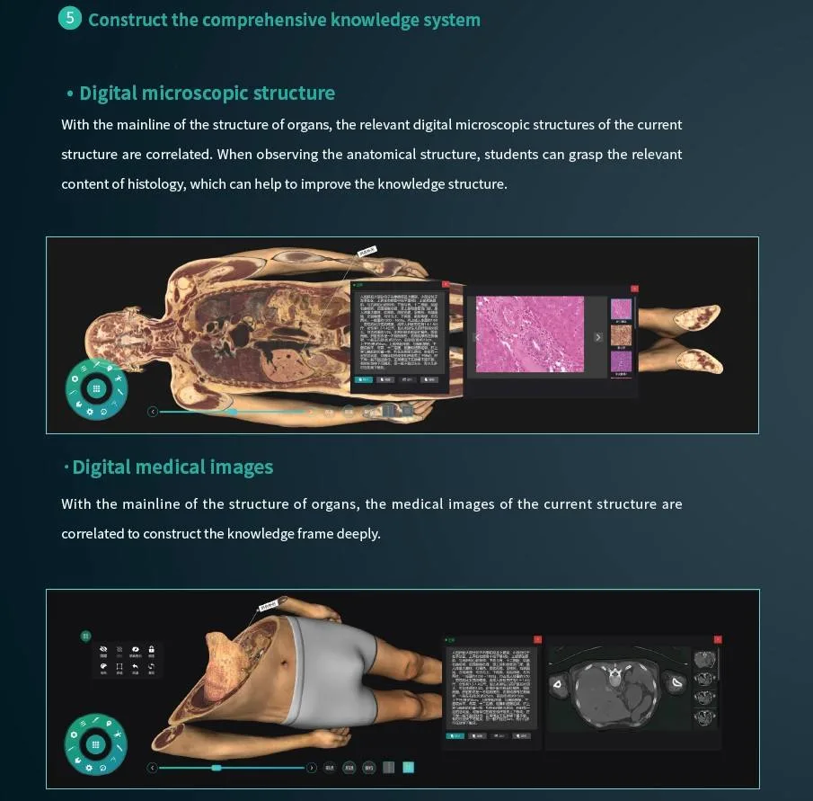 Hot New 3D Medical School Autopsy Virtual Anatomy Dissection Table for University