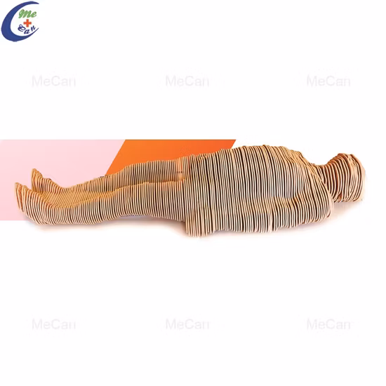 터치스크린 3D 해부학 교육 가상 해부학 테이블