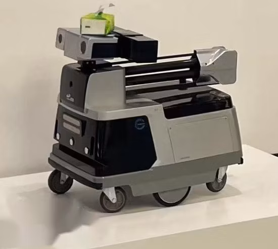 가정 훈장을 위한 급속한 프로토타이핑 인간적인 Handmade 모형 삽화 SLA 3D 인쇄 수지 조각품